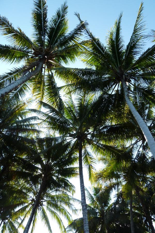 Kadidiri Paradise Batudaka Esterno foto